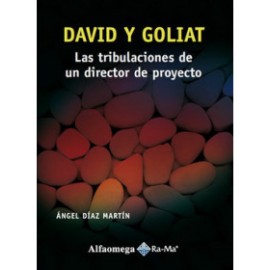 David y goliat - las tribulaciones de un director de proyecto