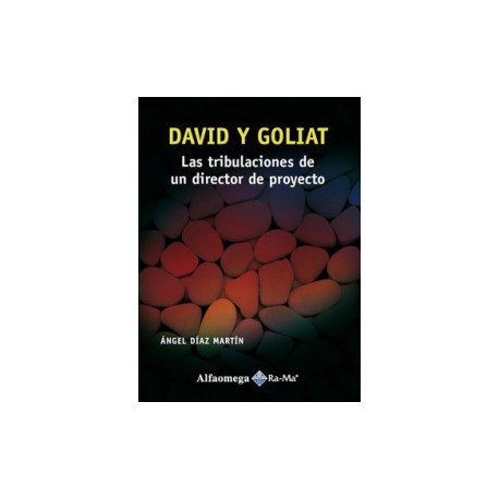 David y goliat - las tribulaciones de un director de proyecto