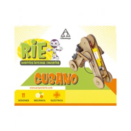 PROYECTO RIE – Robótica Integral Educativa. GUSANO